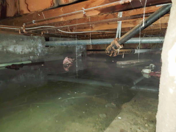 Best Water damage contractors near me  in Endwell, NY