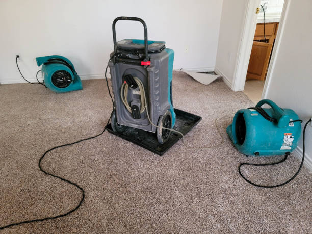 Best Sewage cleanup and water damage restoration  in Endwell, NY