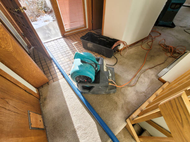 Best Basement water damage restoration  in Endwell, NY