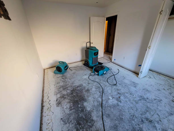 Best Carpet water damage restoration  in Endwell, NY