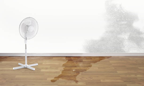 Best Professional water damage repair  in Endwell, NY
