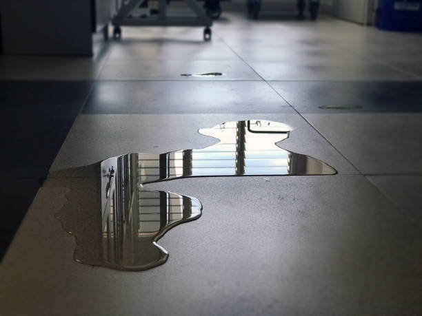 Best Water damage restoration near me  in Endwell, NY