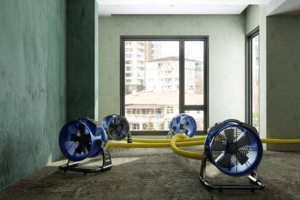 Best Local water damage restoration  in Endwell, NY
